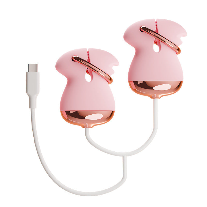 SM Sex Toys