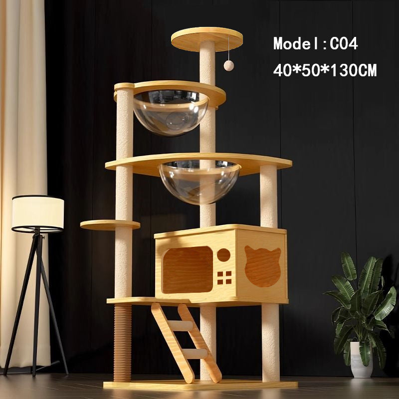 Cat Climbing Tree