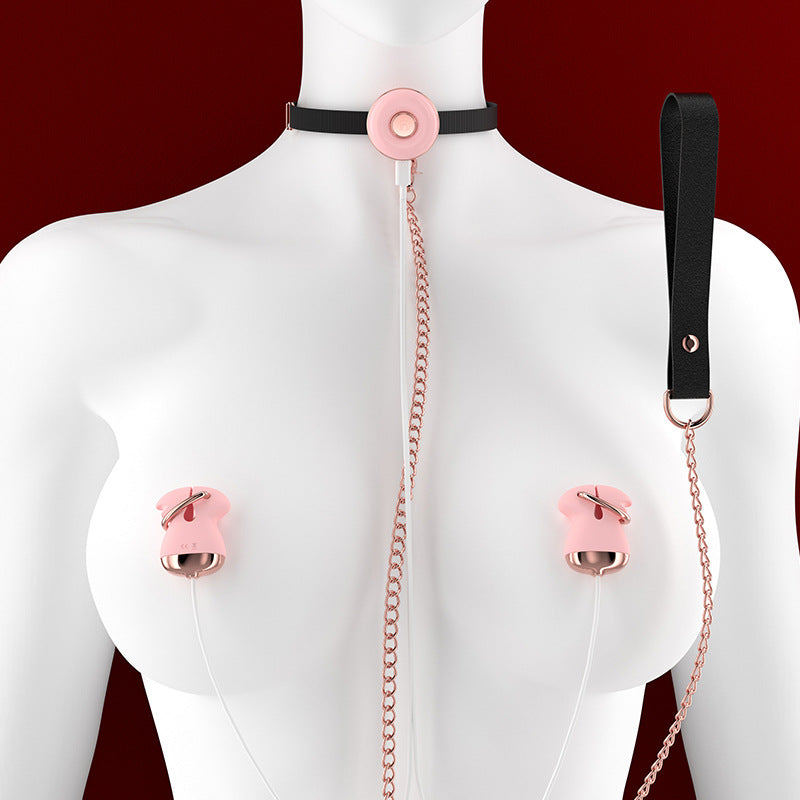 SM Sex Toys