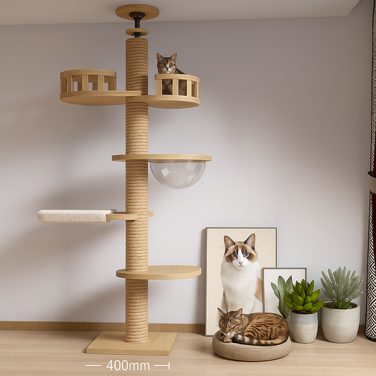 Cat Climbing Tree