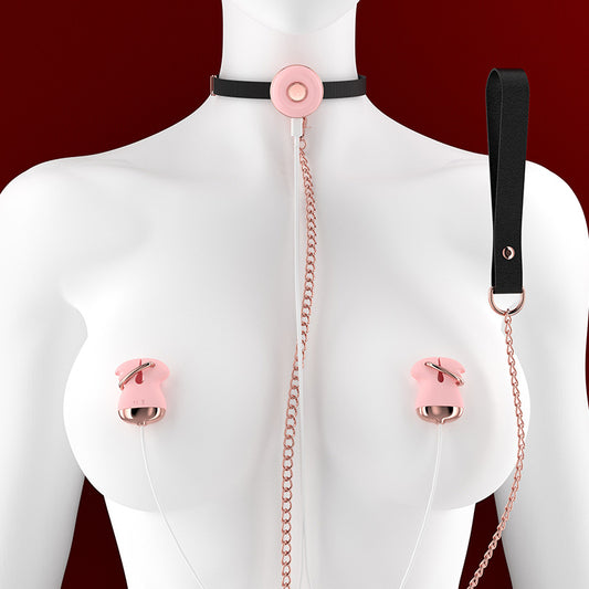 SM Sex Toys