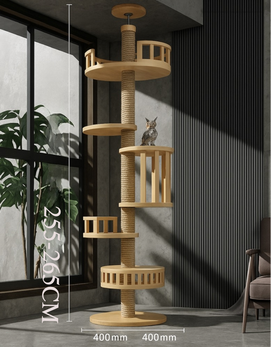 Cat Climbing Tree